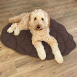 Hundebett in Blattform – Bequemes Bett aus Baumwolle und Polyester