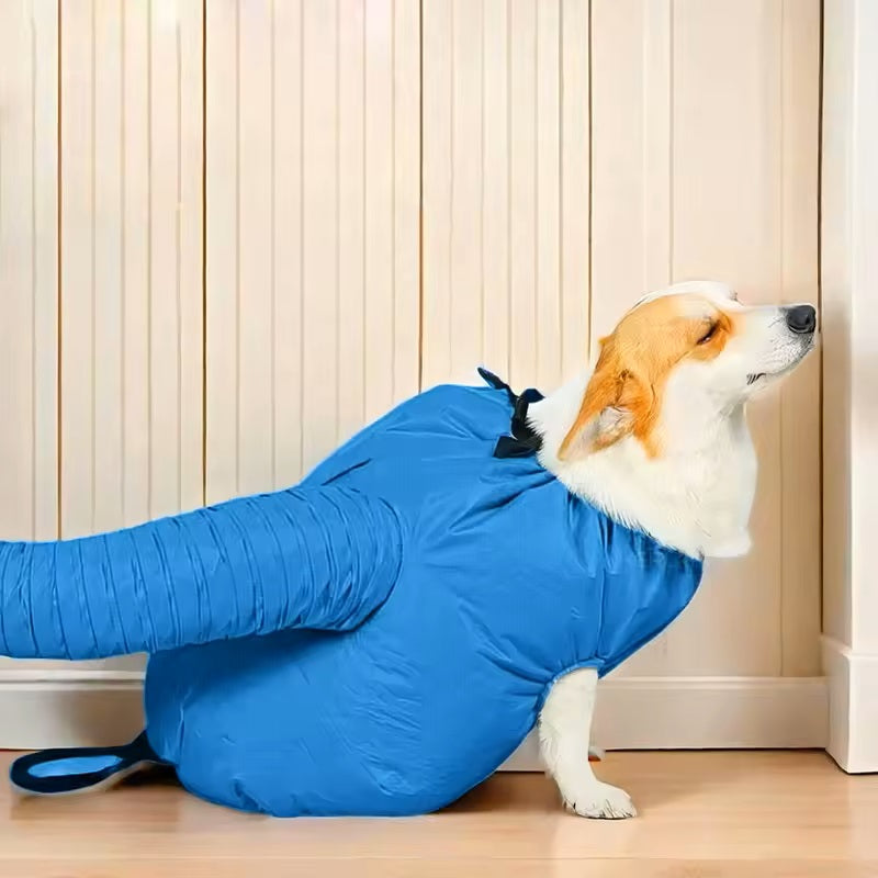 Blaze | Schützen Sie Ihren Hund vor nassen Fellproblemen