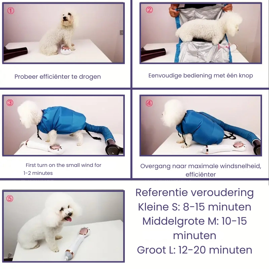 Blaze | Schützen Sie Ihren Hund vor nassen Fellproblemen
