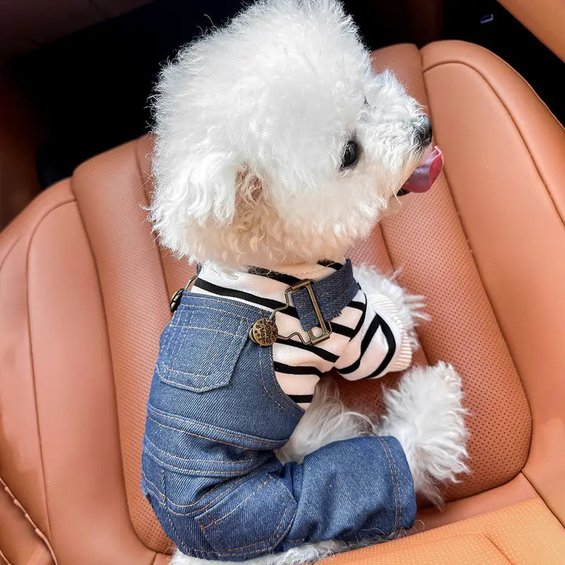 BlueBark | Modische gestreifte Jeansjacke für Hunde