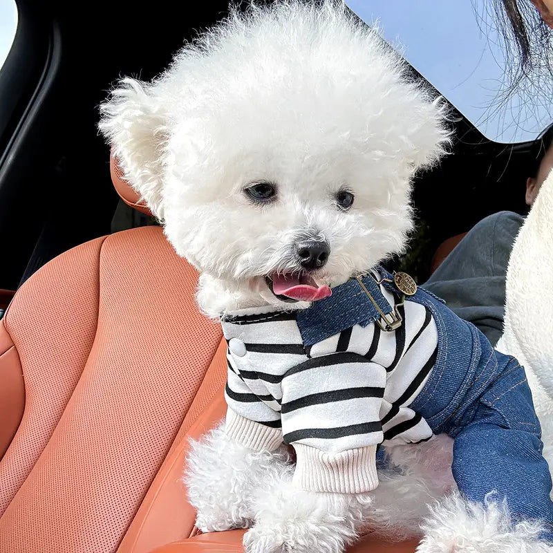 BlueBark | Modische gestreifte Jeansjacke für Hunde
