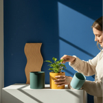 Elegant flower pot with saucer and drainage hole