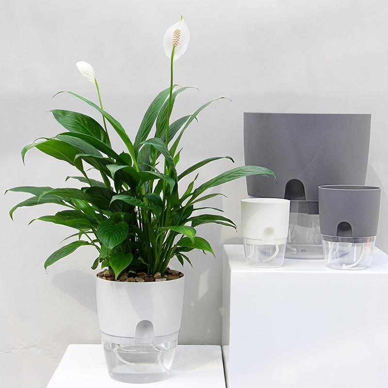 Selbstbewässernder Blumentopf | Saubere Bewässerungslösung