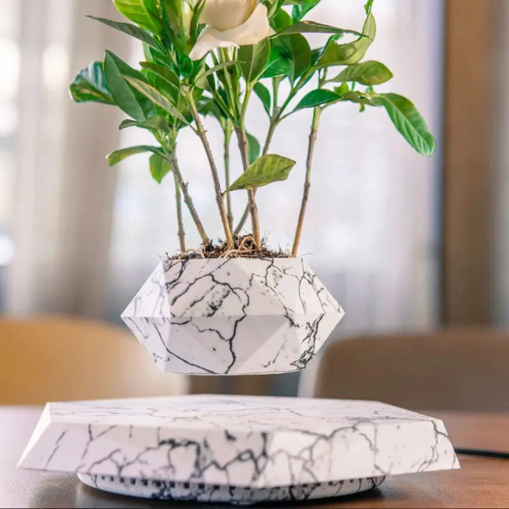 Schwebender Blumentopf | 360° Drehung | Künstlerisches Design
