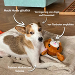 Interaktiver Spielball - das ultimative Hundespielzeug