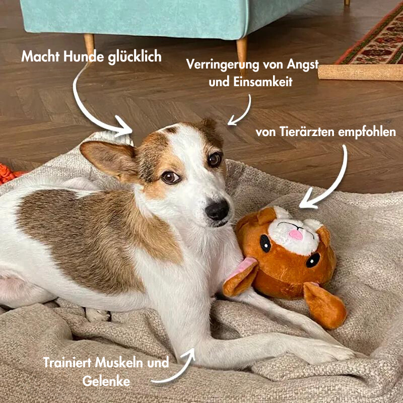 Interaktiver Spielball - das ultimative Hundespielzeug