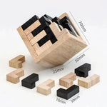 BrainWood - Wooden game for promoting balance and skill