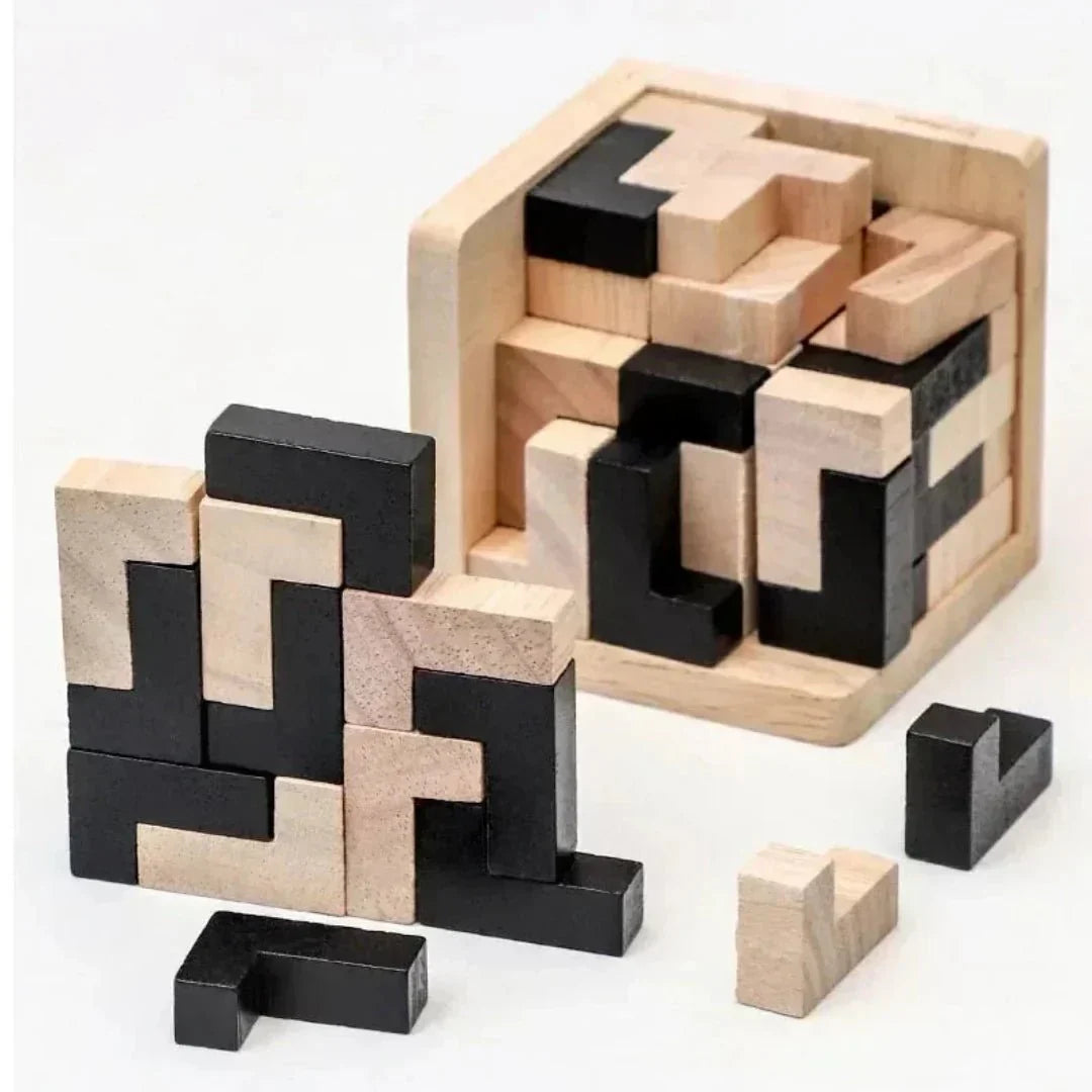 BrainWood - Wooden game for promoting balance and skill