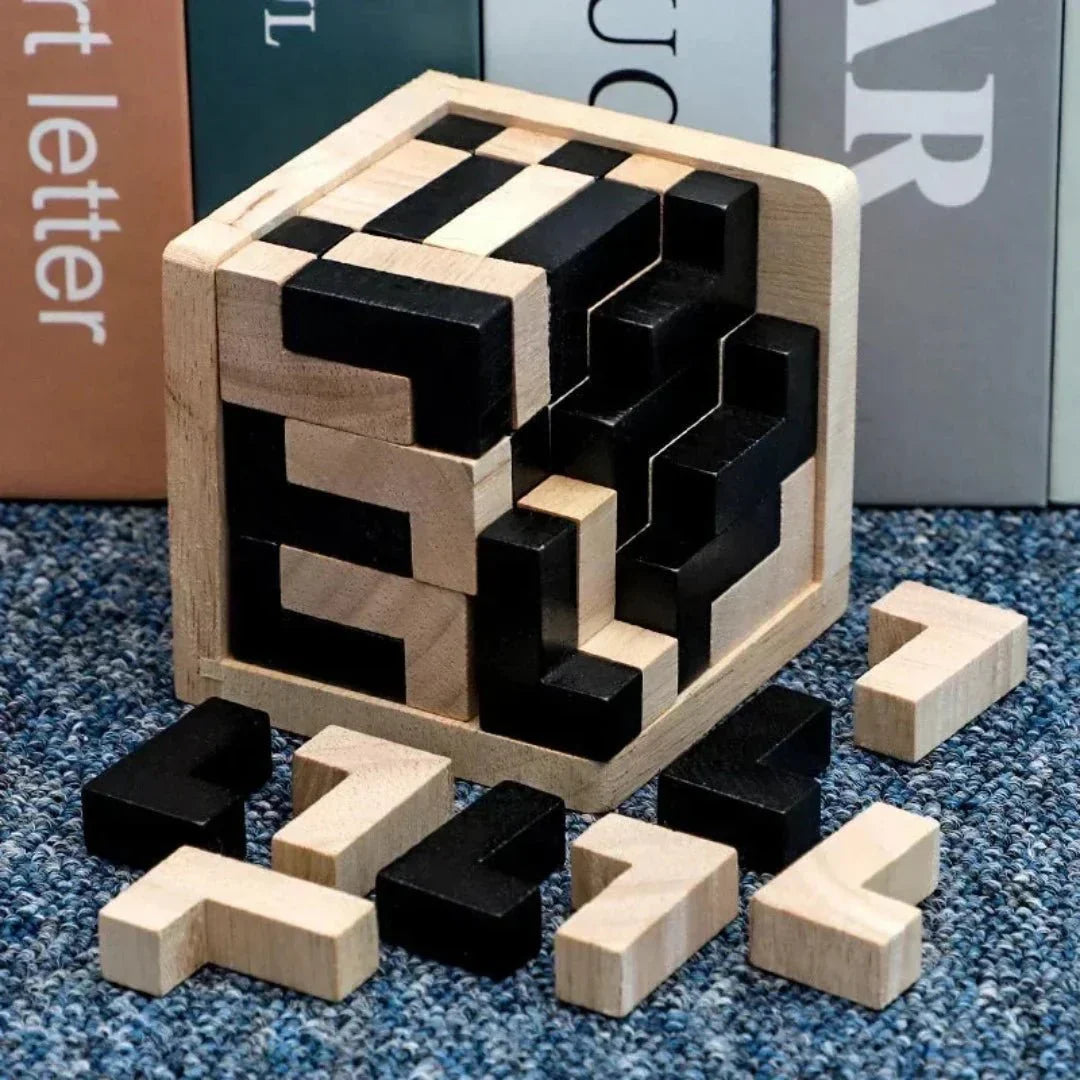 BrainWood - Wooden game for promoting balance and skill