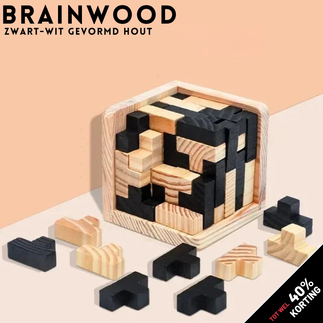 BrainWood - Wooden game for promoting balance and skill