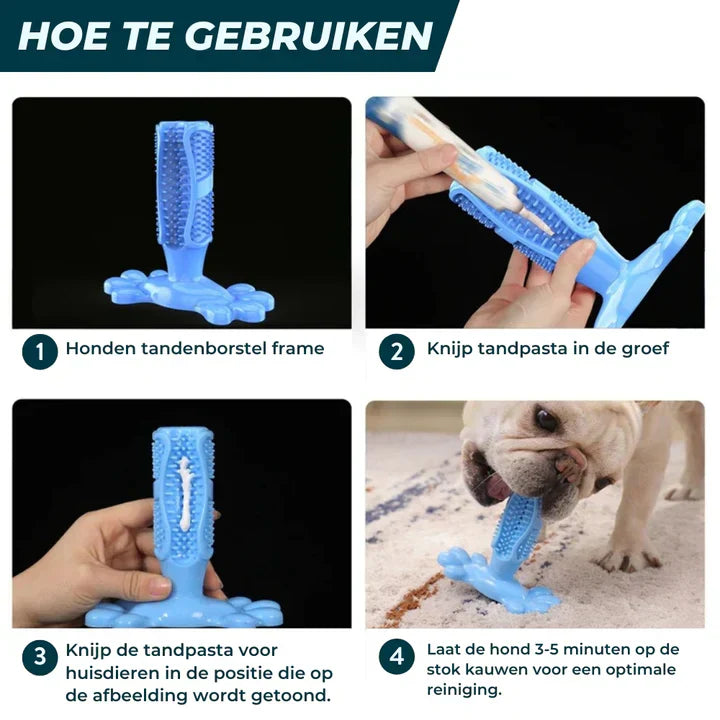 BrushPup | Das spaßige Zahnpflege-Spielzeug für Hunde