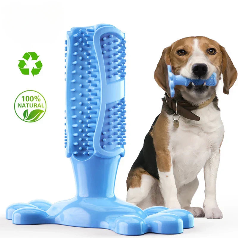 BrushPup | Das spaßige Zahnpflege-Spielzeug für Hunde