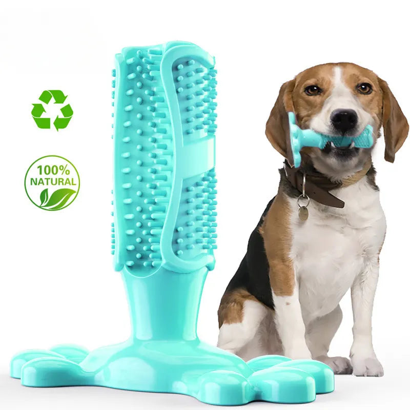 BrushPup | Das spaßige Zahnpflege-Spielzeug für Hunde