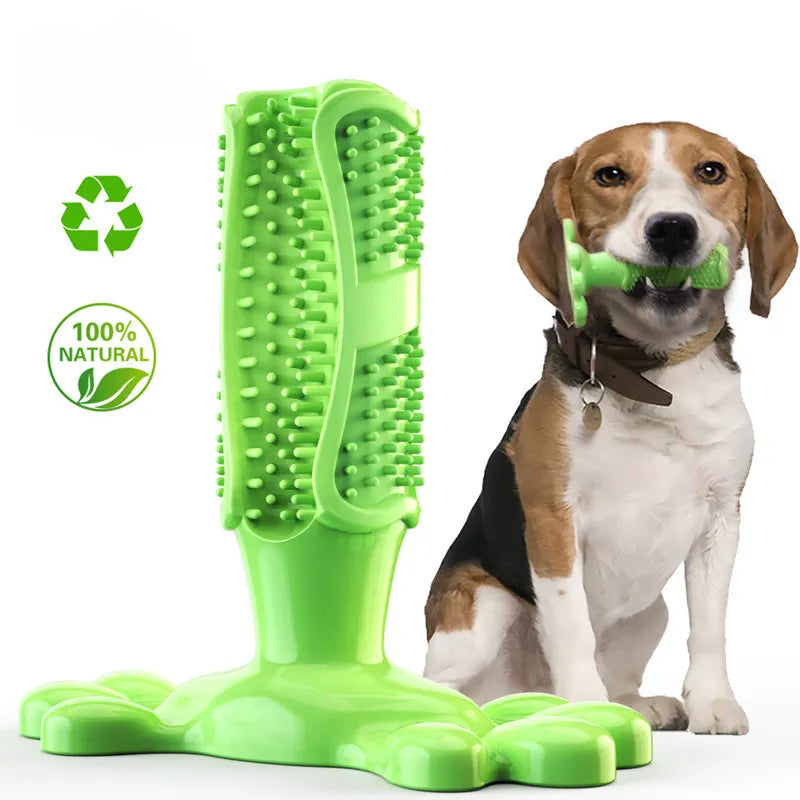 BrushPup | Das spaßige Zahnpflege-Spielzeug für Hunde