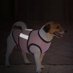 CalmPet | Beruhigungsweste gegen Angst und Stress