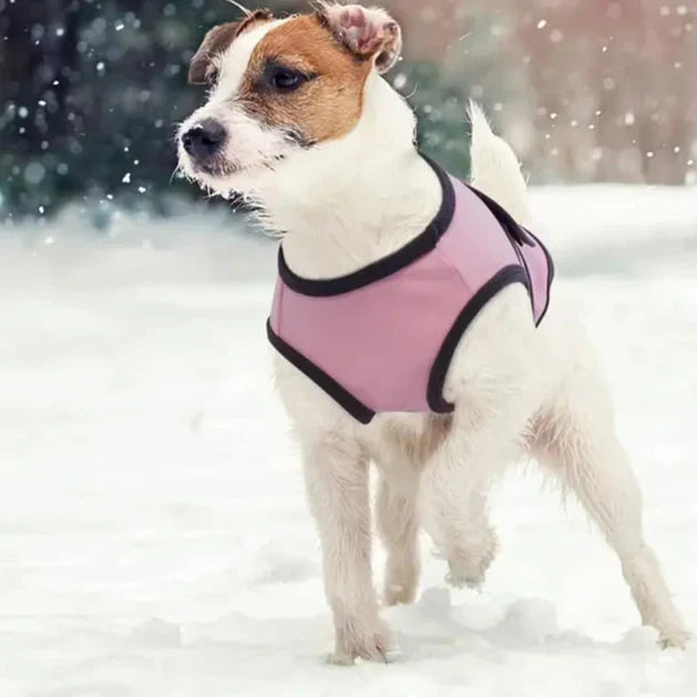 CalmPet | Beruhigungsweste gegen Angst und Stress