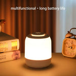 Camille Portable Desk Lamp