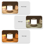 Camille Portable Desk Lamp