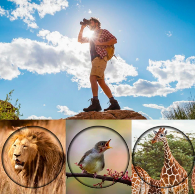 Compact 8x Magnification Binoculars for Nature Adventures