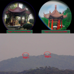 Compact 8x Magnification Binoculars for Nature Adventures