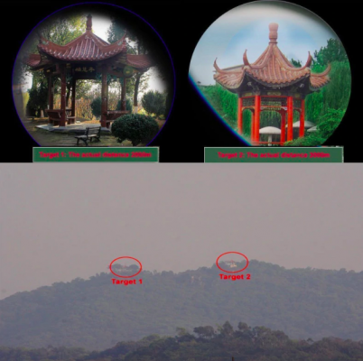 Compact 8x Magnification Binoculars for Nature Adventures