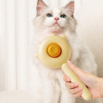 Effective Cat Hair Remover | Buy 1 Get 1 Free