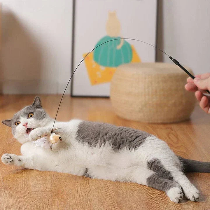 CatCatch | Halte deine Katze aktiv und schütze dein Mobiliar