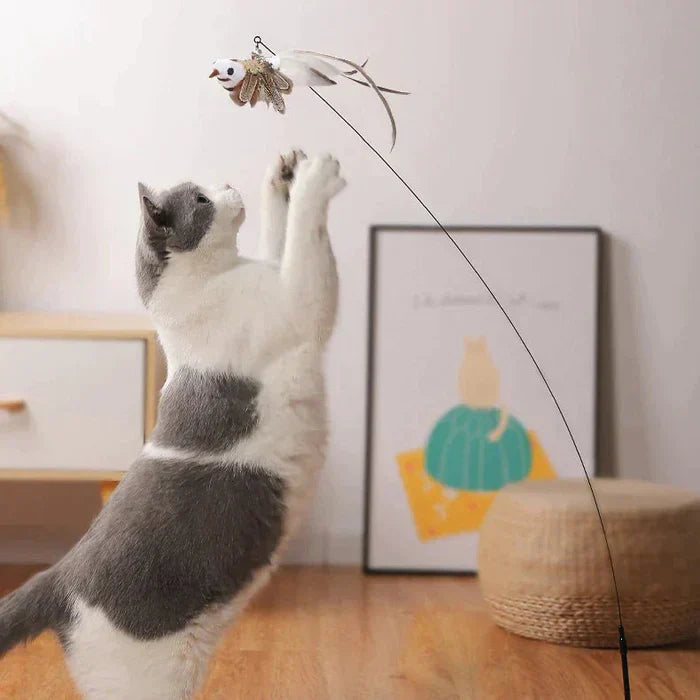 CatCatch | Halte deine Katze aktiv und schütze dein Mobiliar