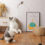 CatCatch | Halte deine Katze aktiv und schütze dein Mobiliar
