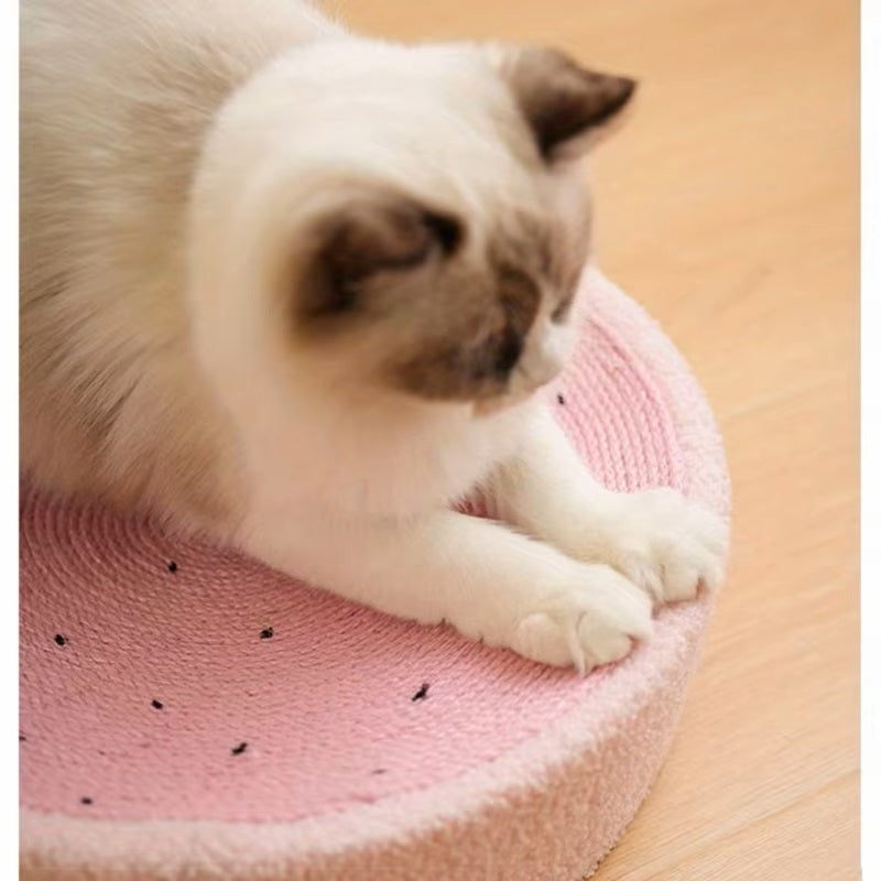 CatCraze | Stressabbau und Wohlbefinden für Ihre Katze