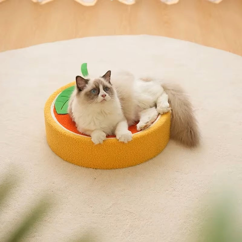 CatCraze | Stressabbau und Wohlbefinden für Ihre Katze