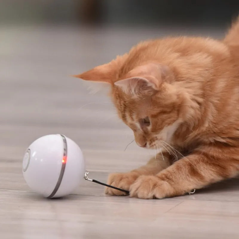 CatJolly | Intelligente Spielkugel für Katzen
