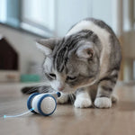 CatRap | Keep your cat active and happy