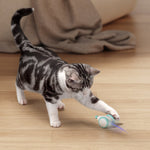 CatRap | Keep your cat active and happy