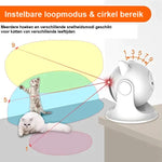 CatZoom | Das ultimative Spielerlebnis für Katzen