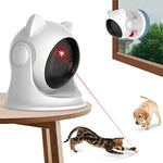 CatZoom | Das ultimative Spielerlebnis für Katzen
