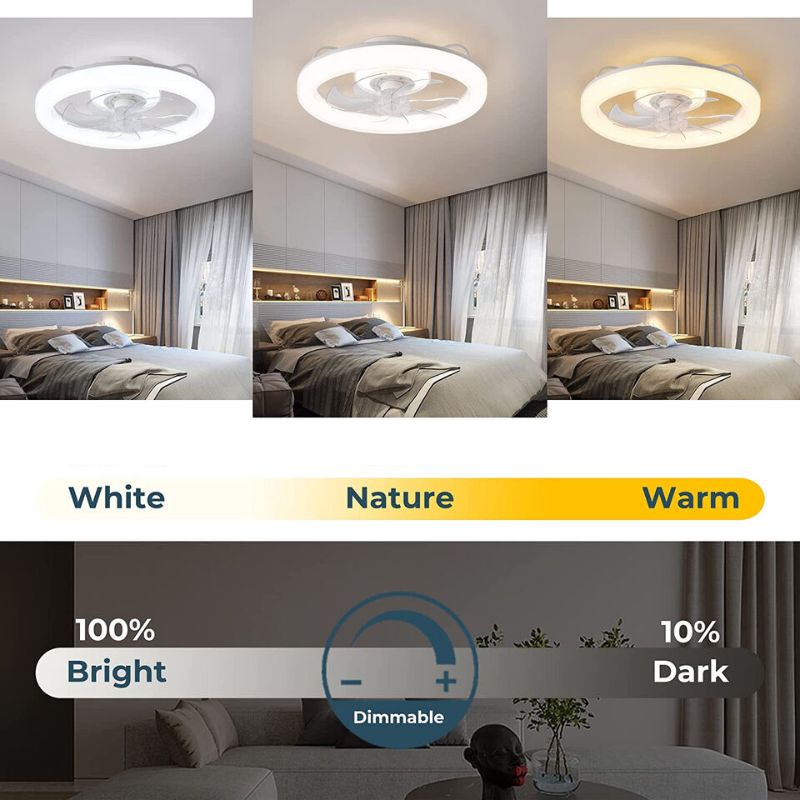 Modern Ceiling Fan with LED Lighting