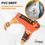 Safe and comfortable dog harness for relaxed walks