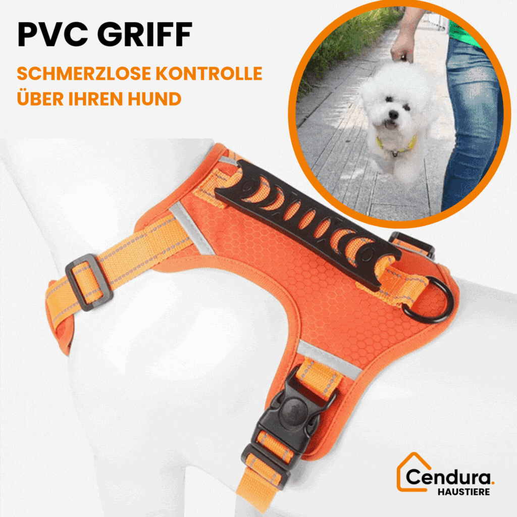 Safe and comfortable dog harness for relaxed walks