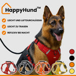 Safe and comfortable dog harness for relaxed walks