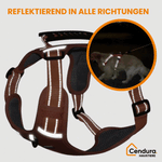 Safe and comfortable dog harness for relaxed walks