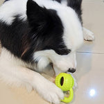 CheesyPaw | Interaktiver Hundespielball