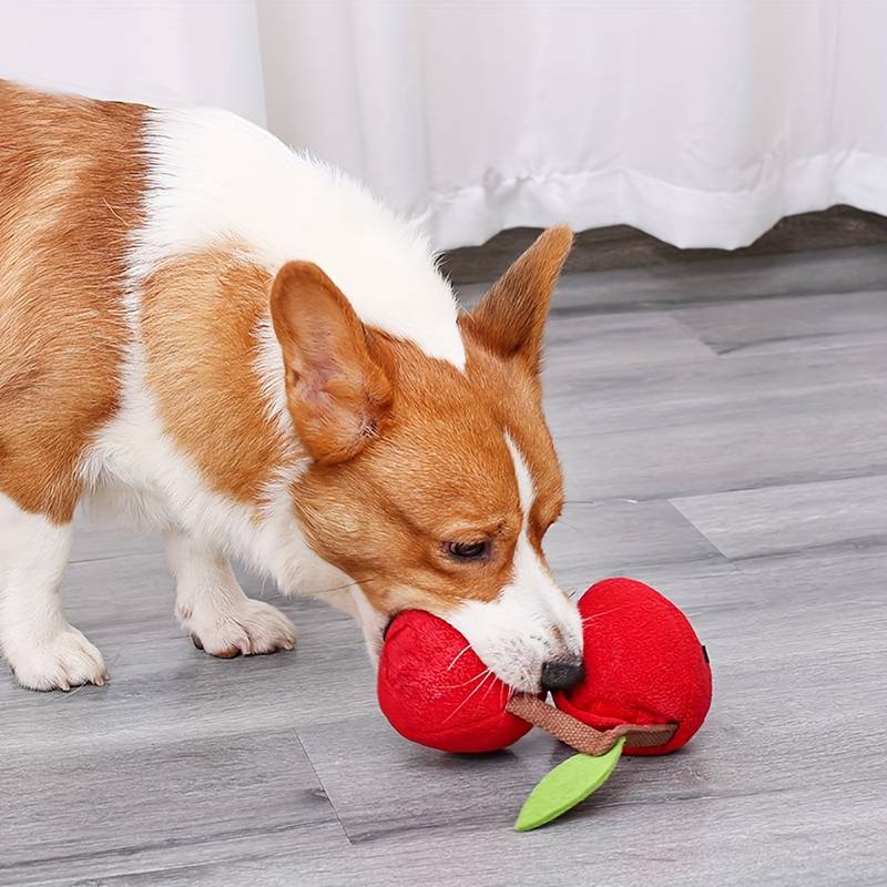CherryPals | The Ultimate Toy for Your Dog!