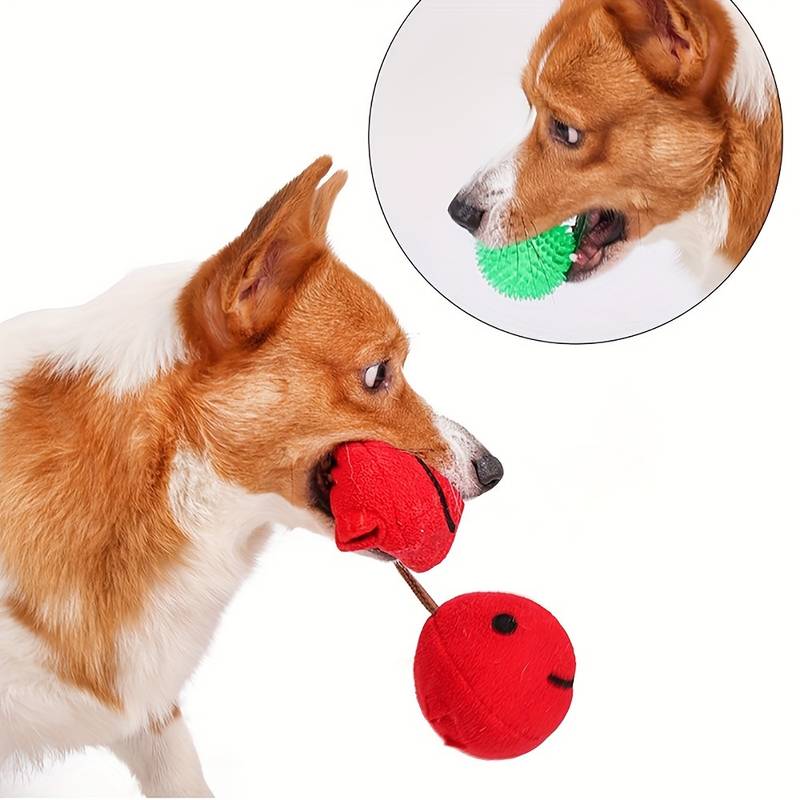 CherryPals | The Ultimate Toy for Your Dog!