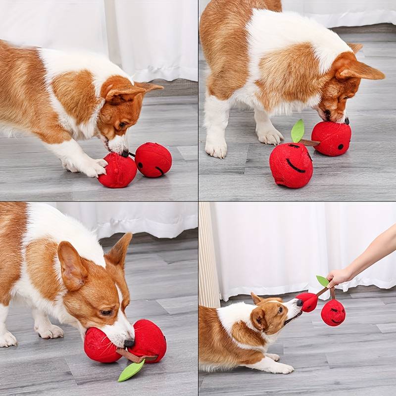 CherryPals | The Ultimate Toy for Your Dog!