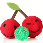 CherryPals | The Ultimate Toy for Your Dog!