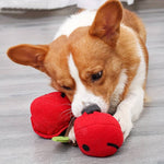 CherryPals | The Ultimate Toy for Your Dog!