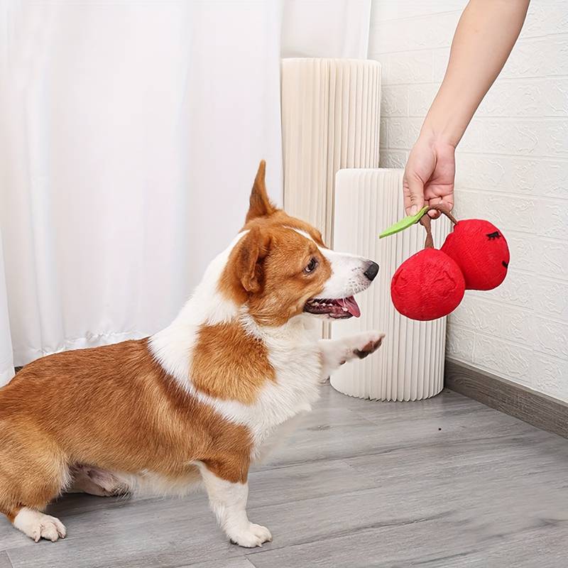 CherryPals | The Ultimate Toy for Your Dog!