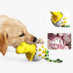 ChewDino | Dino-Ei Spielzeug für Hunde