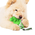 ChewDino | Dino-Ei Spielzeug für Hunde